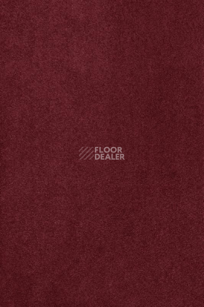 Ковролин AW Masquerade Kai 11 фото 1 | FLOORDEALER